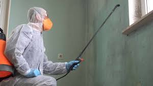 Best Mold Remediation for Healthcare Facilities  in Freeburg, IL